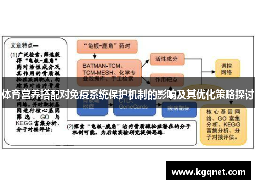 体育营养搭配对免疫系统保护机制的影响及其优化策略探讨